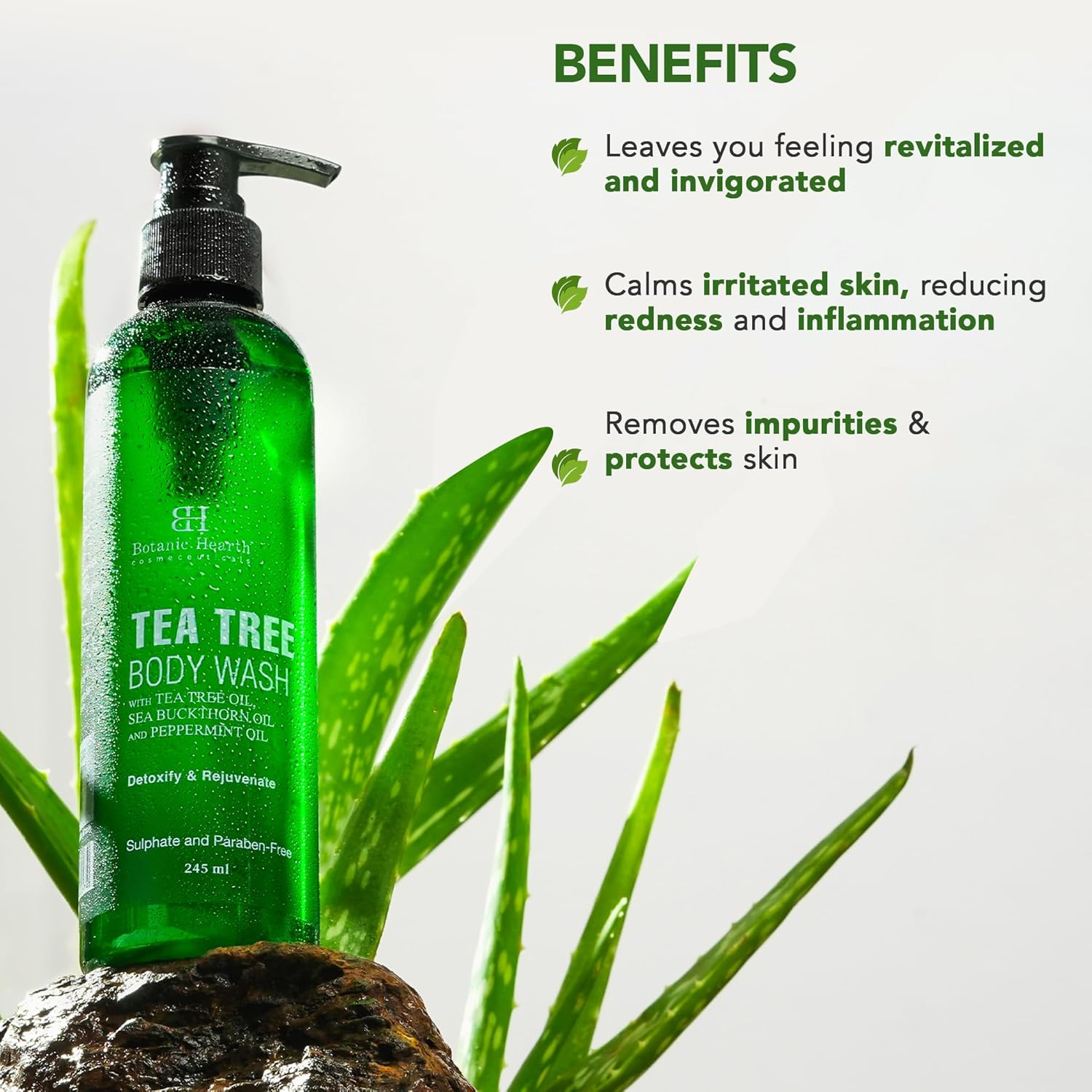 1753330177_Botanic-Hearth-Tea-Tree-Body-Wash-with-Sea-Buckthorn-Oil-Peppermint-Oil-Detoxifies-Rejuvenates-Long-Lasting-Fragrance-Sulphate-Paraben-Free-Shower-Gel-for-Men-and-Women-245ml.jpg