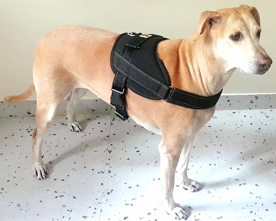 1777465303_Aa-Pets-Dog-Body-Vest-Harness-for-Large-Dogs-–-No-Pull-Tactical-Military-Grade-with-Control-Handle-Camouflage-Green-XL.jpg