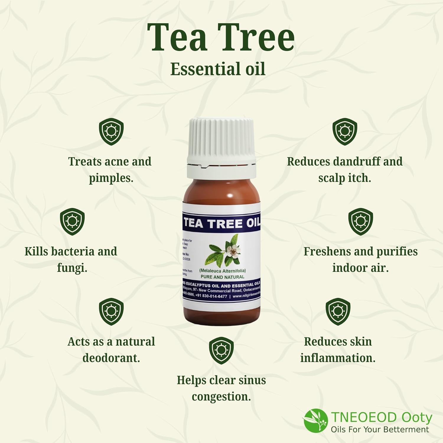 1781174186_THE-NILGIRIS-EUCALYPTUS-OIL-ESSENTIAL-OILS-DISTILLERY-TNEOEOD-Ooty-Tea-Tree-Essential-Oil100-Pure-Therapeutic-GradeSteam-DistilledEssential-Oil-for-SkinHairAcne-Undiluted-30ml-Pack-of-1.jpg