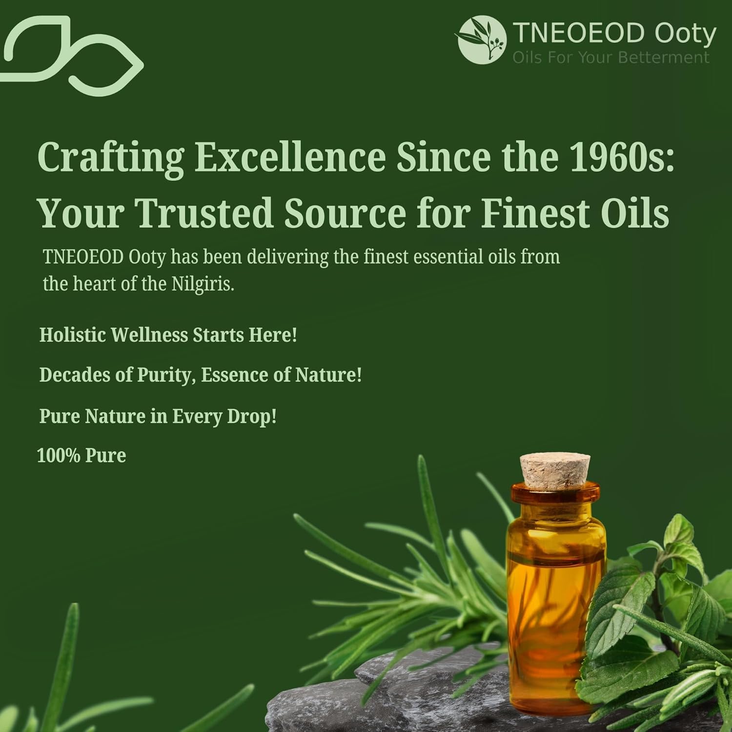 1781174188_THE-NILGIRIS-EUCALYPTUS-OIL-ESSENTIAL-OILS-DISTILLERY-TNEOEOD-Ooty-Tea-Tree-Essential-Oil100-Pure-Therapeutic-GradeSteam-DistilledEssential-Oil-for-SkinHairAcne-Undiluted-30ml-Pack-of-1.jpg