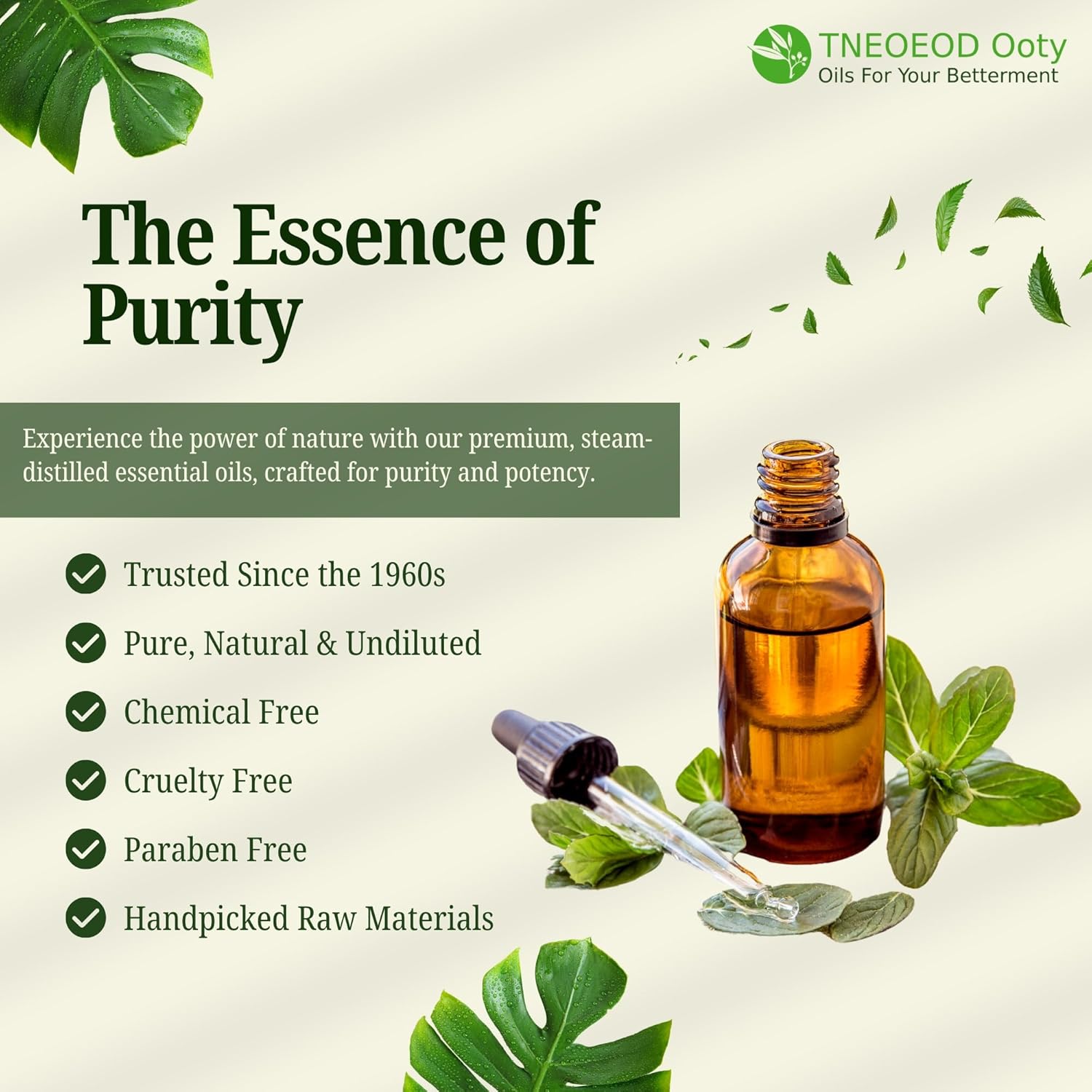 1781174189_THE-NILGIRIS-EUCALYPTUS-OIL-ESSENTIAL-OILS-DISTILLERY-TNEOEOD-Ooty-Tea-Tree-Essential-Oil100-Pure-Therapeutic-GradeSteam-DistilledEssential-Oil-for-SkinHairAcne-Undiluted-30ml-Pack-of-1.jpg