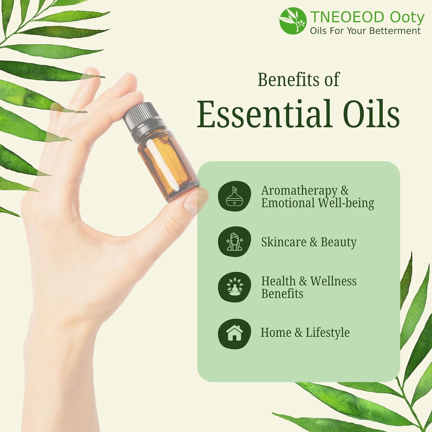 1781174191_THE-NILGIRIS-EUCALYPTUS-OIL-ESSENTIAL-OILS-DISTILLERY-TNEOEOD-Ooty-Tea-Tree-Essential-Oil100-Pure-Therapeutic-GradeSteam-DistilledEssential-Oil-for-SkinHairAcne-Undiluted-30ml-Pack-of-1.jpg